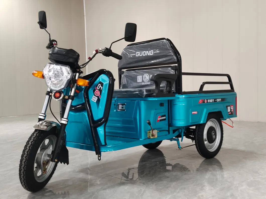 China Cheap Small Size for Sale Electric Tricycle 3 Wheel Electric for Cargo