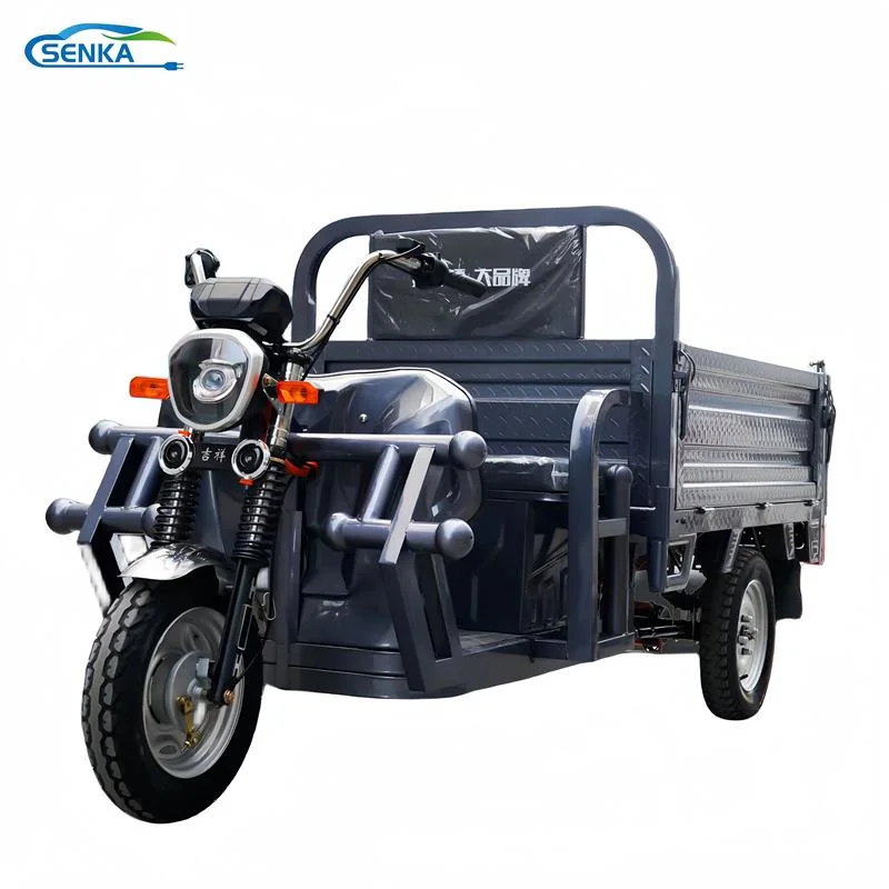 Senka Lead Acid Battery Operated E-Rickshaw Loader for Cargo Electric Tricycle