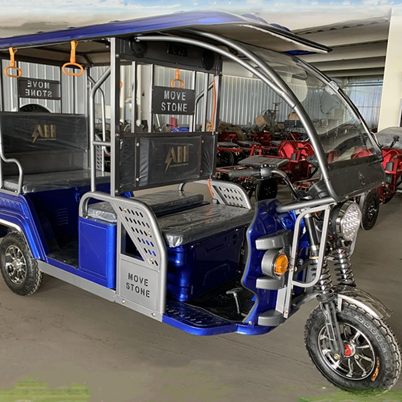 60V 800W Electric Tricycle Mileage 25km-300km Double Lithium Battery and Solar Charger