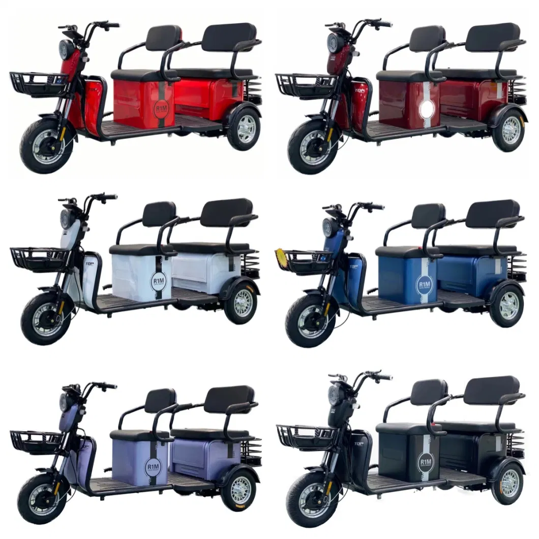 3 Wheel Light Electric Passenger Scooter Tricycle for Adult by EEC Certification