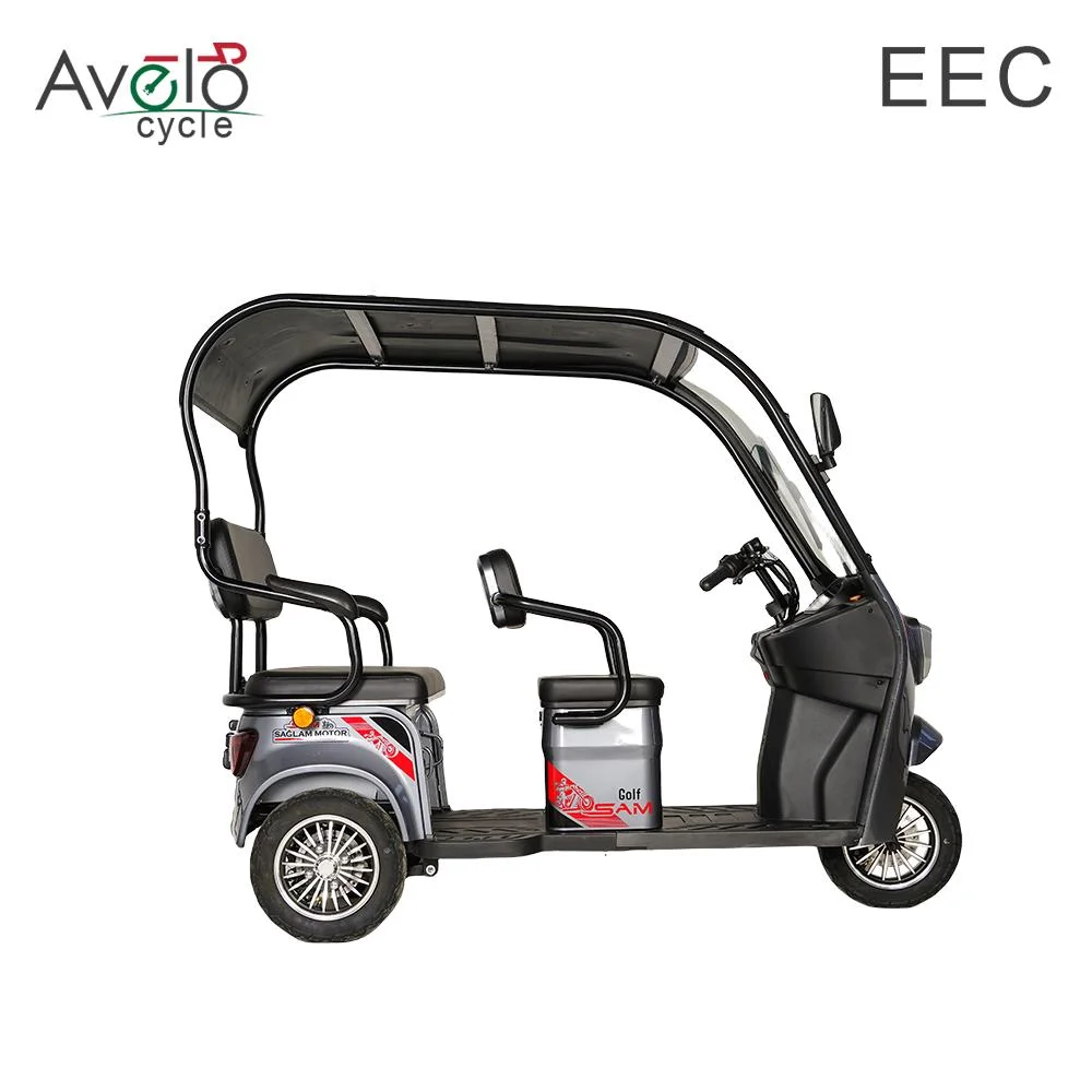 China Manufacturer Price Electric Tricycle Mobility 3 Wheel Electric Tricycle