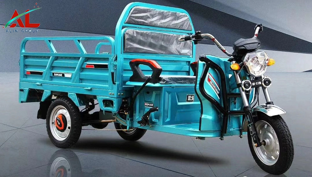 Cargo Tricycle/Three Wheel Electric Motorcycle with Cargo Box