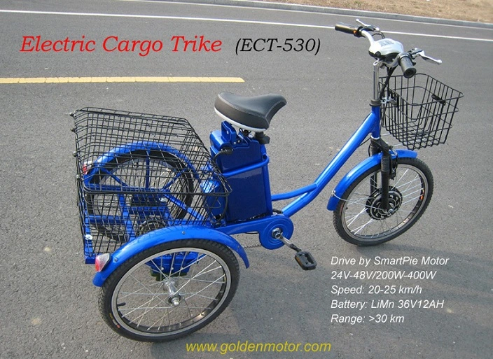 3 Wheel Motorized Bike, Electric Cargo Trike, Three Electric Cargo Tricycle with Our Hub Motor