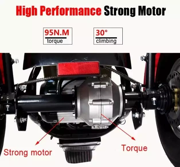 Newest Fat Tire EEC 3 Wheels Scooter Coc Approved Adult Hub Depan Electric Motorcycle Cheap Tricycle 1500W Motor Citycoco