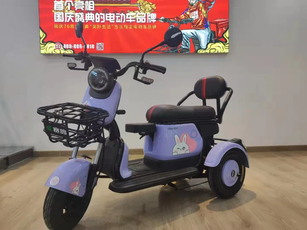 Leisure Electric Tricycle for Elder Passenger 50-70km Range Trike for Disabled People Smart and Foldable Seat