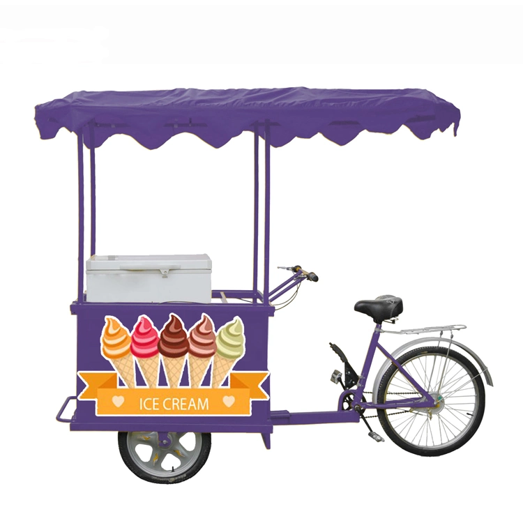 Ice Cream Tricycle with Solar Powered DC12V Chest Freezer