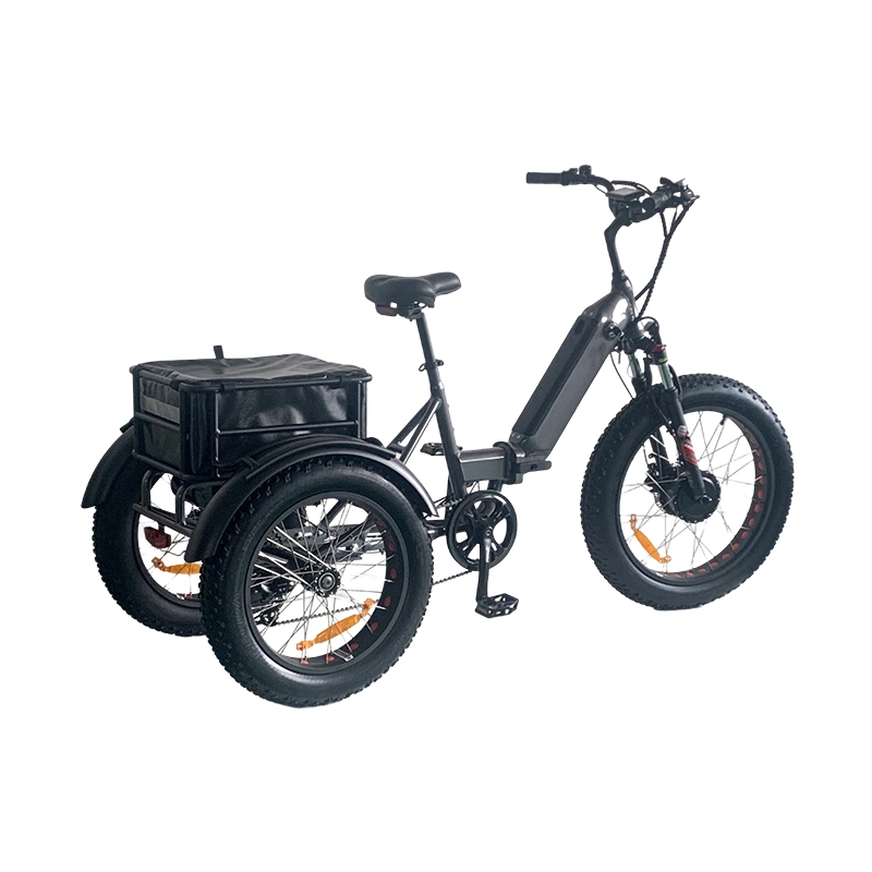 Bafang Motor for Passengers Fat Tire 4.0 Three Wheels Scooters 3 Wheel Passenger Adult 750W Electric Tricycles