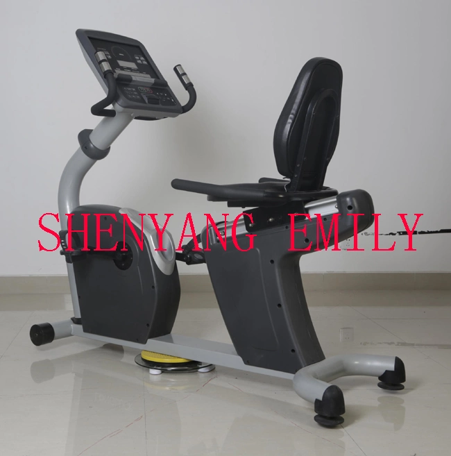 CE Approved Commercial Recumbent Bike (SK-ER2)