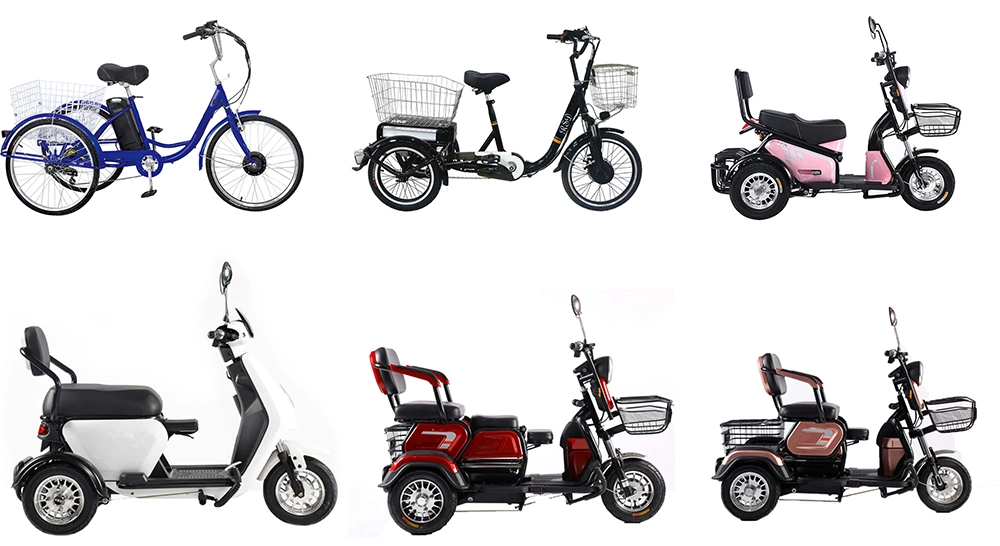 Fat Tire E Trike Electric Tricycle Pedal Assisted and Price of Electric Tricycle for Sale in Philippines