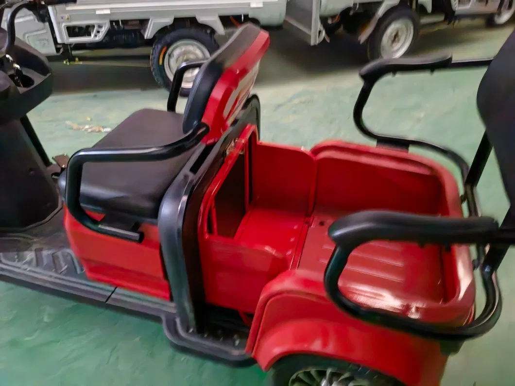 Hot Sale E Trike Motorized Tricycles with Roof for Passenger