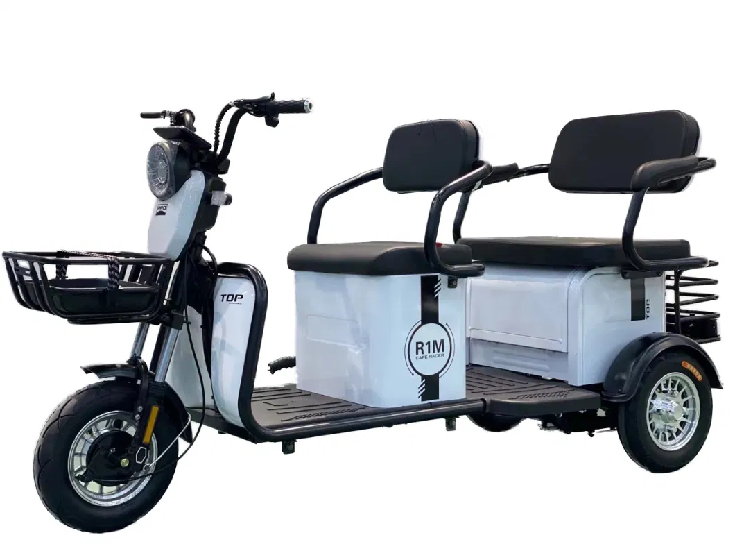 3 Wheel Light Electric Passenger Scooter Tricycle for Adult by EEC Certification