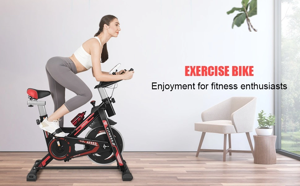 2024 Fitness/Exercise/Recumbent /Spinning/Pms/EMS/Gym Equipment Bike