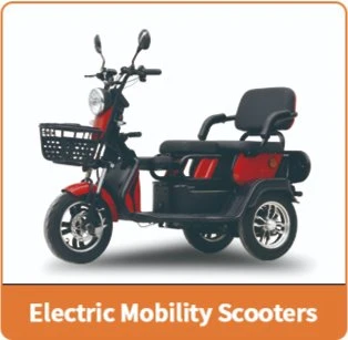 Mobility Scooter Electric Tricycle for Adult with 60V 500W Motor