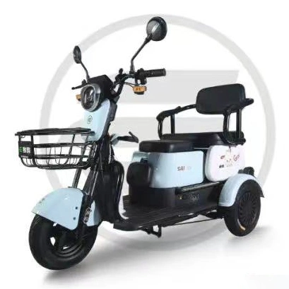 Saige 500W Dual Use of Passenger and Freight Tricycle with Daytime Running Light Anti-Roll Back and Electronic Brake Assist