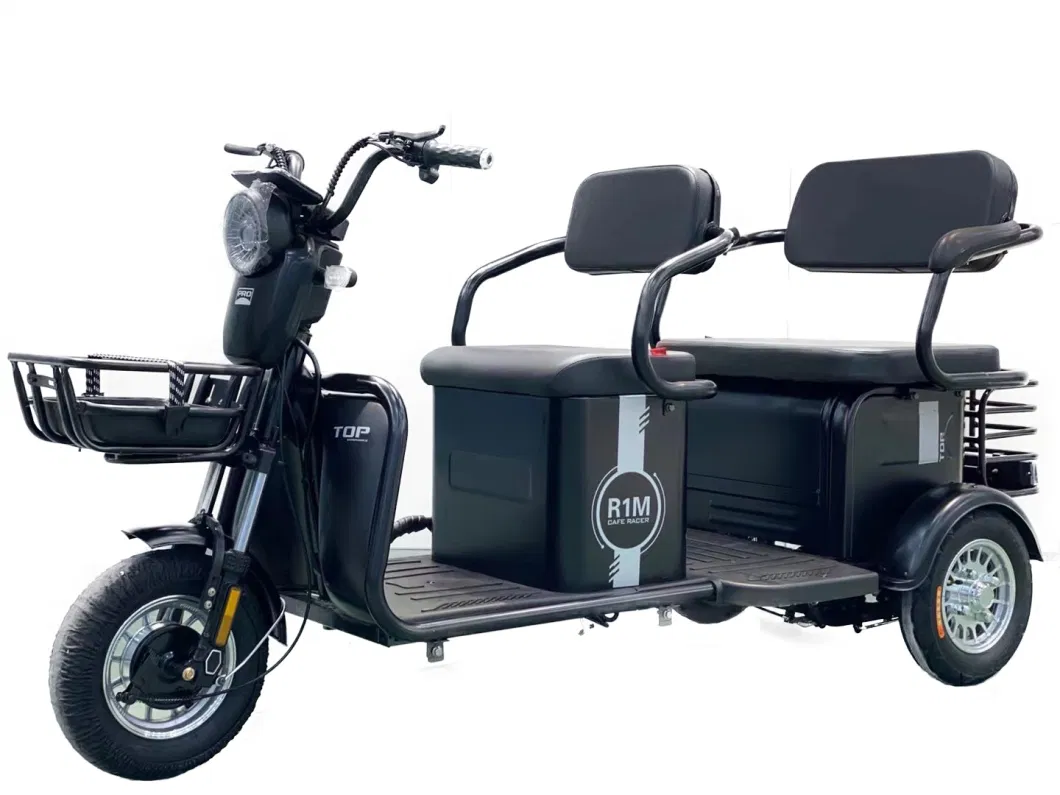 3 Wheel Light Electric Passenger Scooter Tricycle for Adult by EEC Certification