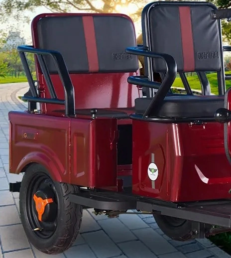 Low Speed Tricycle for Seniors with Disabilities