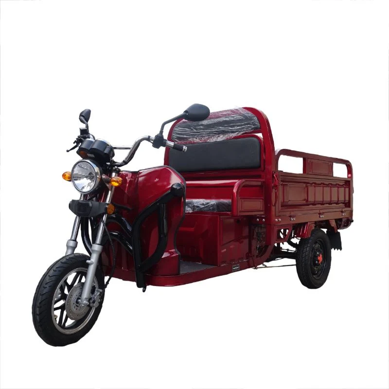 Multi-Purpose Foldable Seat Cheap Three Wheel Electric Tricycle for Cargo and Passengers