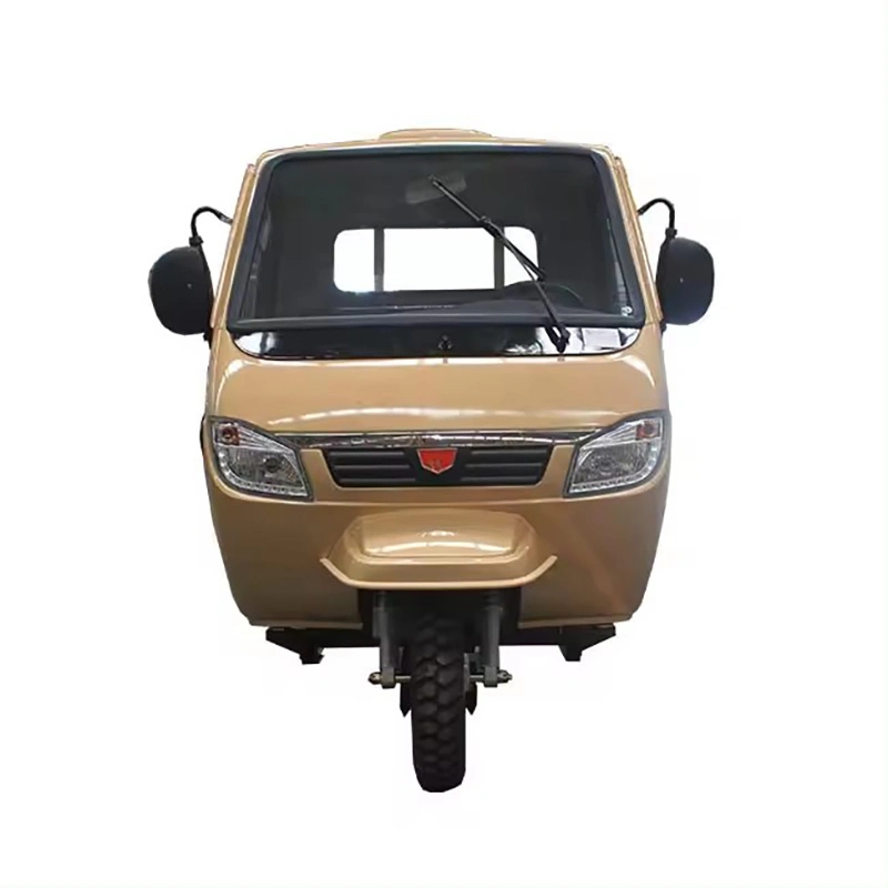 New Design Electric Trike Fat Tire 3 Wheel Electric Tricycle Three Wheels Adult Cargo Electric Bike