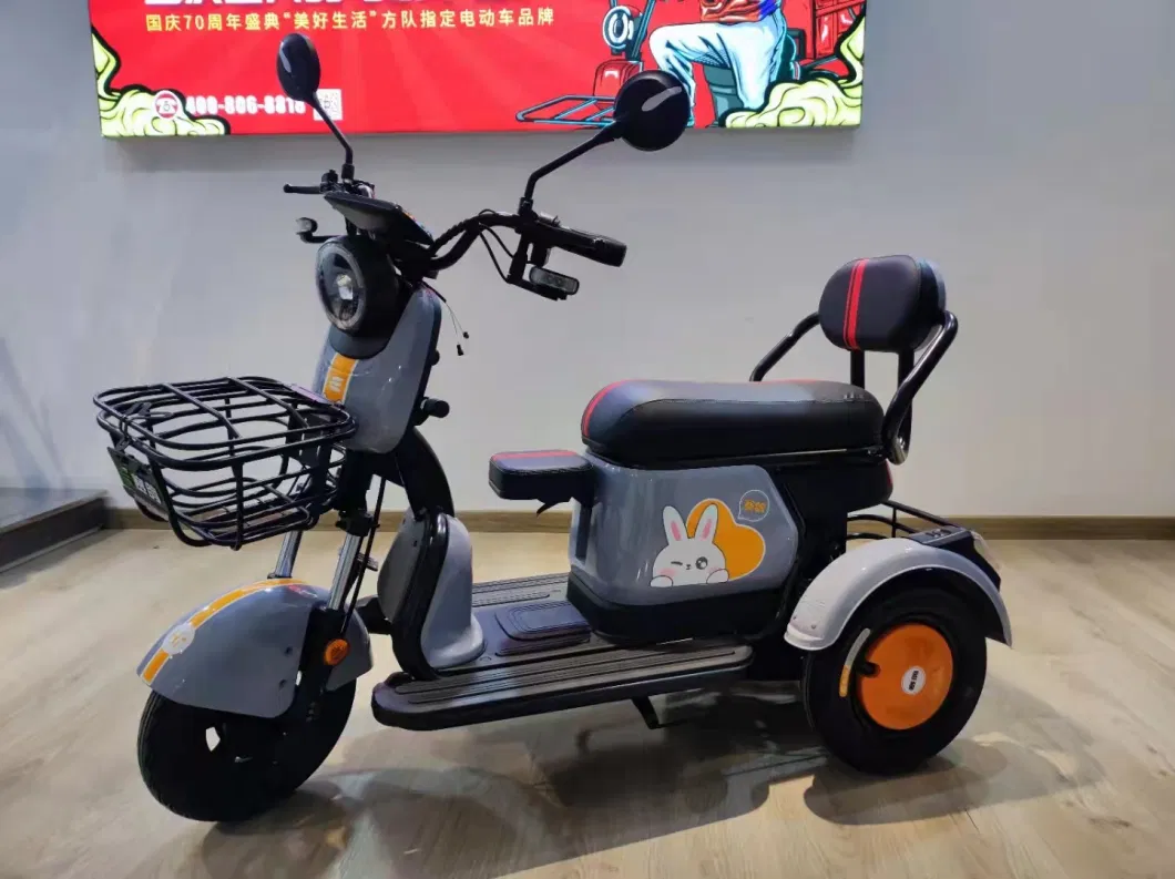 Leisure Electric Tricycle for Elder Passenger 50-70km Range Trike for Disabled People Smart and Foldable Seat