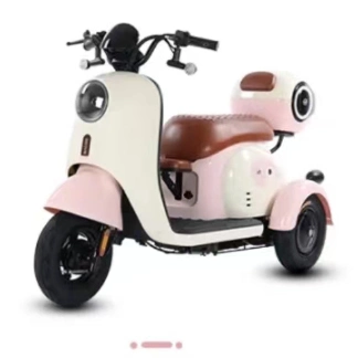 Colors 3 Wheel Motorized Adult Small Electric Tricycle for Philippines