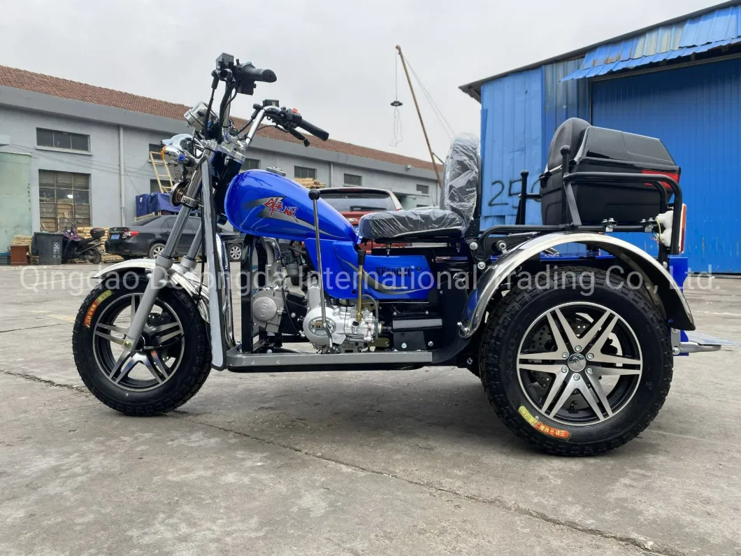 3 Wheel Motorcycle Electric Tricycles with Passenger Seat and Cargo Tricycles