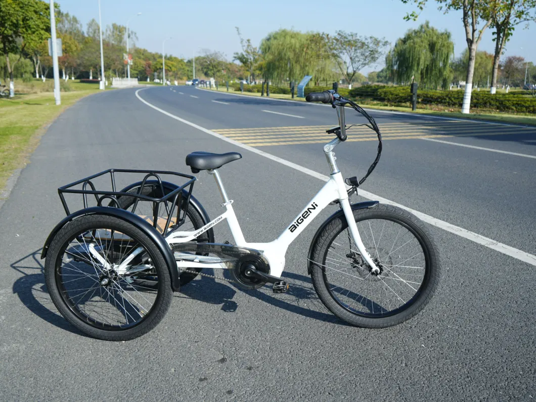 Custom Logo E Cargo Tricycle Wholesale Price Three Wheel Electric Tricycle 500W 750W Electric Bike Cargo Ebike Agn7084