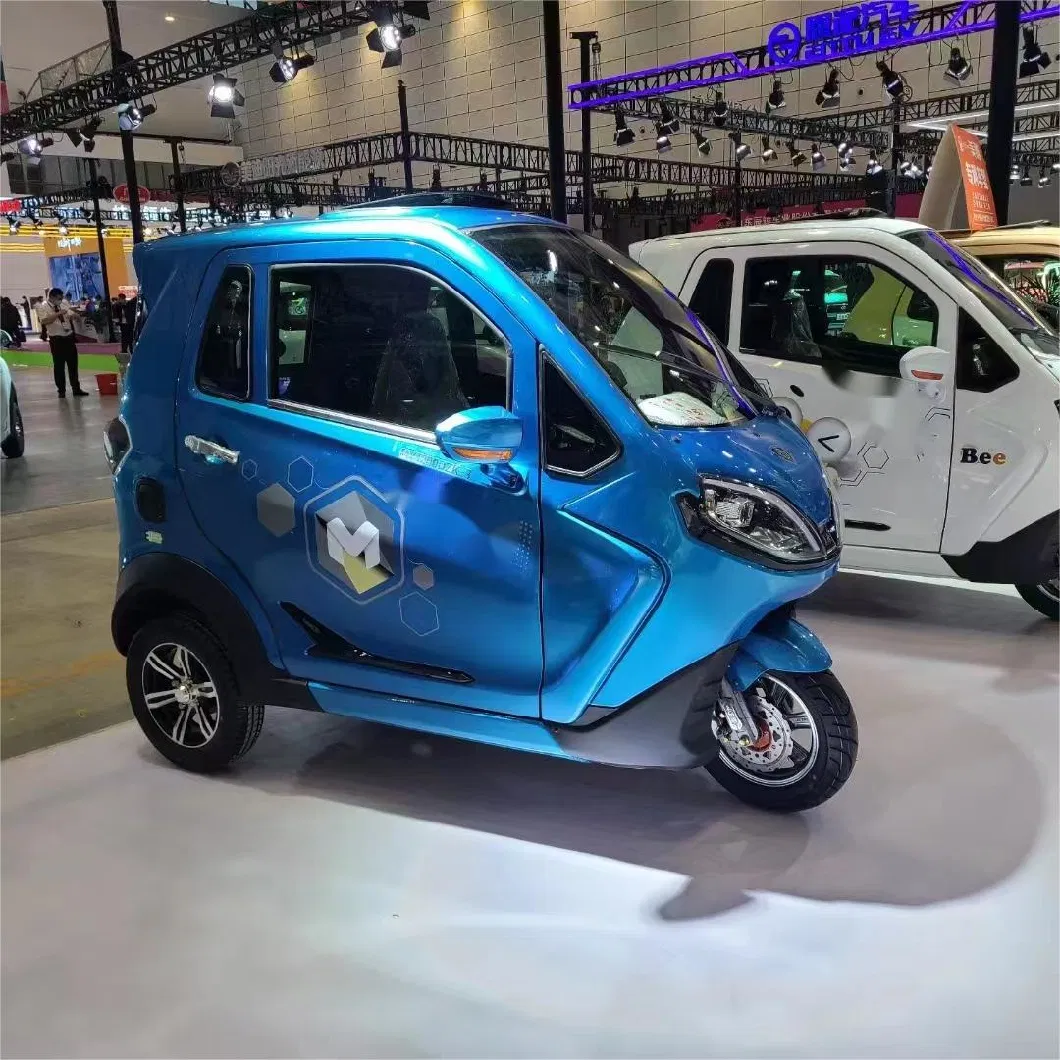 1000W New Adult Closed Electric Passenger, Cargo, Three Wheels, Richshaw, Motor, Petrol, Motorized, Electric Trike, Vehicle, Bicycle, Motorbike, Tricycle