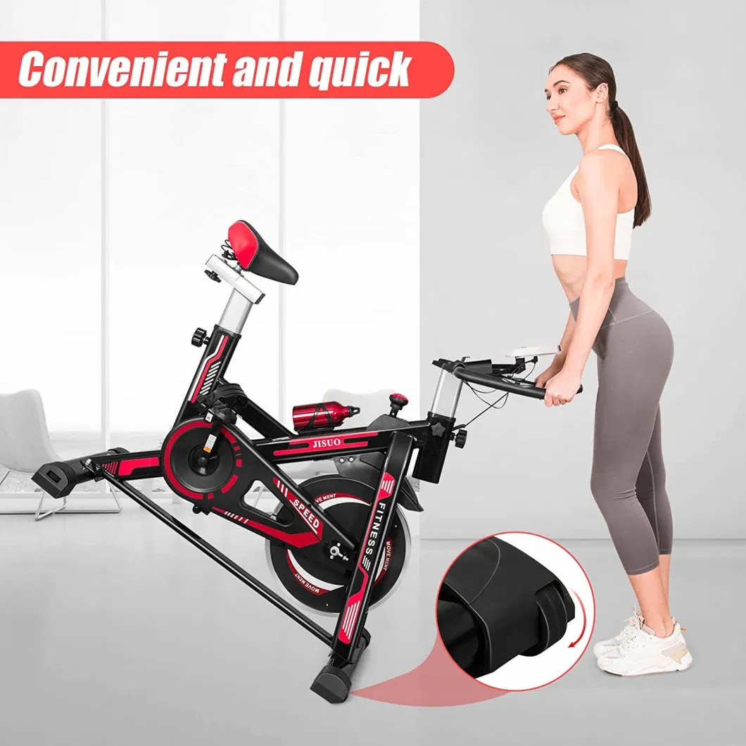 2024 Fitness/Exercise/Recumbent /Spinning/Pms/EMS/Gym Equipment Bike