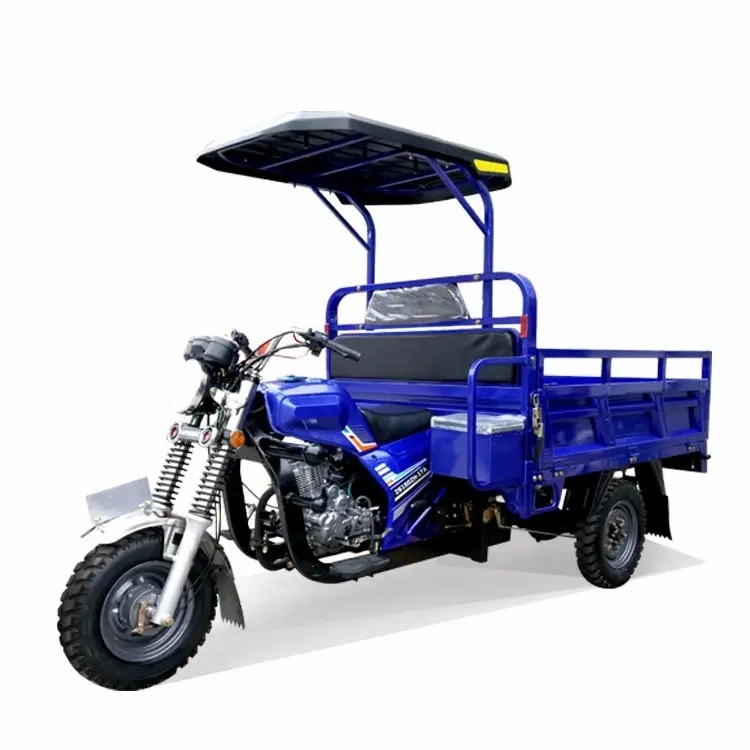 China High Quality 150cc 200cc 250cc Air Cooled A1 Motorized Tricycle Motorcycle Vehicle Gasoline Cargo Tricycle for Adult