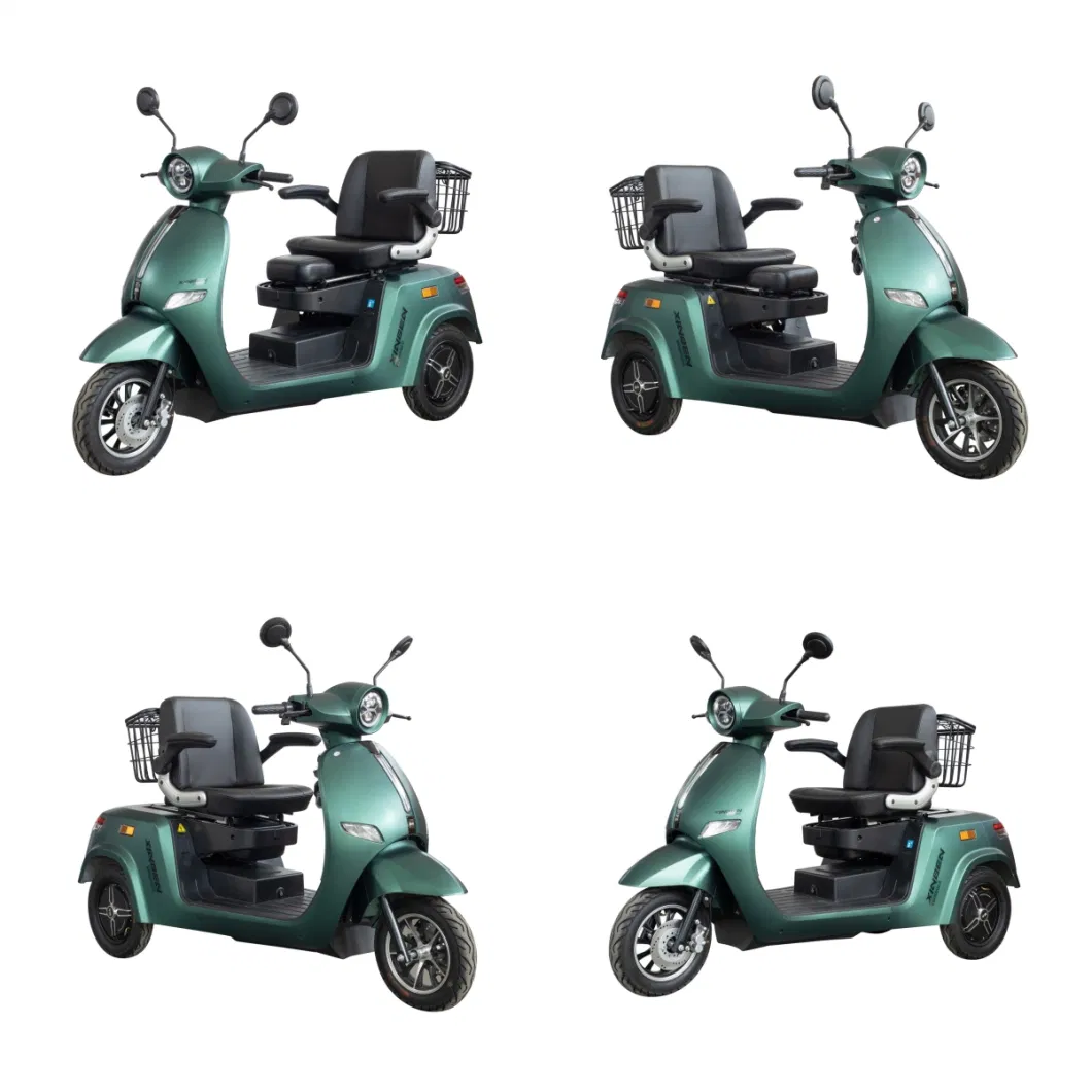 New Arrival Electric Tricycle, Three Wheel Motorcycle, Three Wheeler, Electric Motorbike, EEC Disabled Vehicle