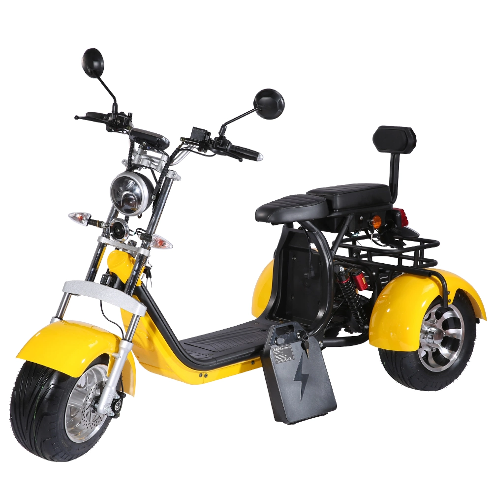 2000W 20ah Fat Tire Electric Tricycle Removable Battery Three Wheel Electric Scooter Motorcycle City Coco