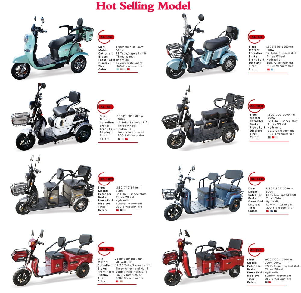 500W /1000W 60V/ 48V Fat Tyre Three Wheel One Seat Electric Scooter, Electric Vehicle, Electric Tricycle for Passenger