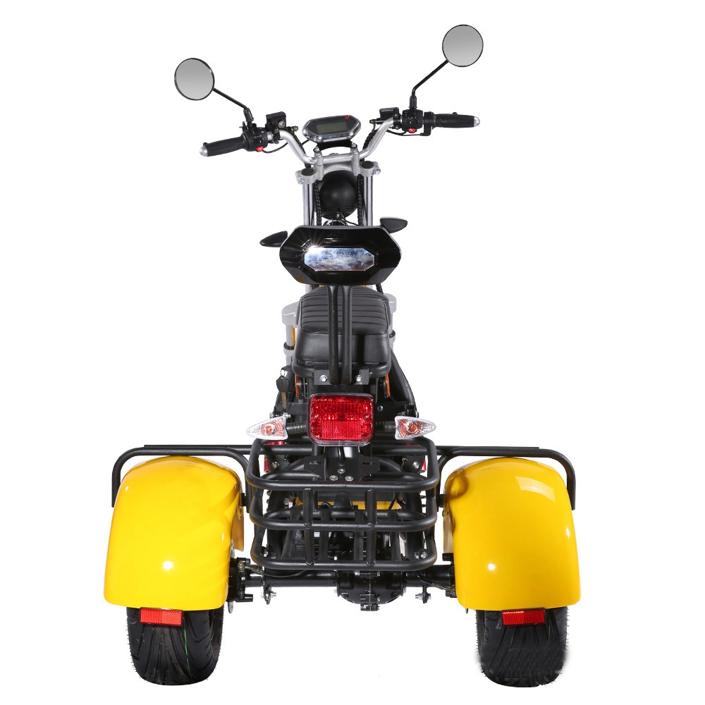 2000W 20ah Fat Tire Electric Tricycle Removable Battery Three Wheel Electric Scooter Motorcycle City Coco