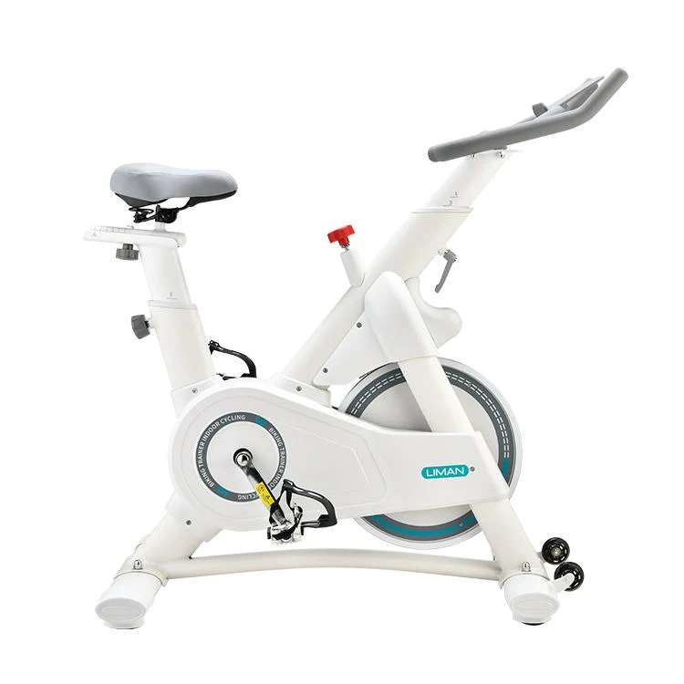 Fitness Equipment Recumbent/Exercise/Spinning/Magnetic/Upright Bike for Adults