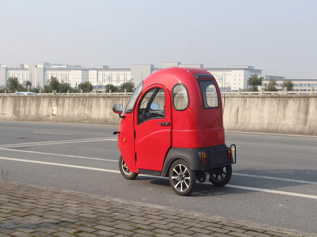 Hot Sale Three Wheel Disabled Electric Tricycle with EEC Coc