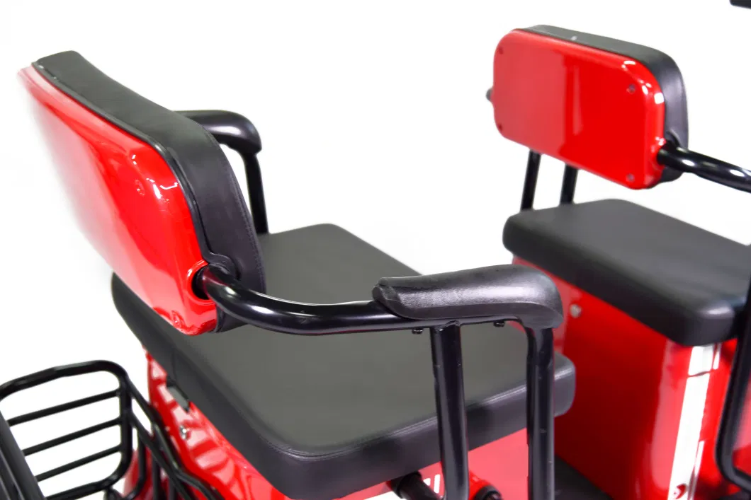 Wholesale Quality Trike Leisure Electric Tricycle for Elderly Mobility Scooter