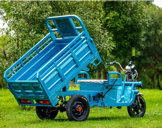 Low Speed Electric Tricycle for Agriculture with Open Carriage