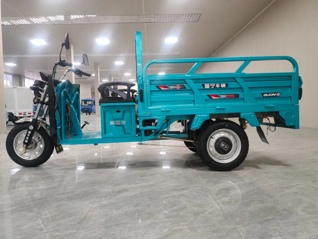 Fast and Efficient 3-Wheel 60V 2200W Electric Cargo Tricycle for Sale