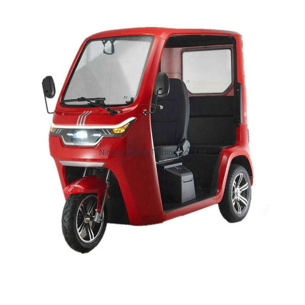 City Light Passenger Disabled Large Space Beautiful Fashion Small-Scale Electric Tricycle