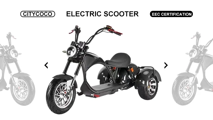 2000 Watt Electric Scooter Adult Three Wheels Tricycle 60V 20A 2 Seat Used for Sale