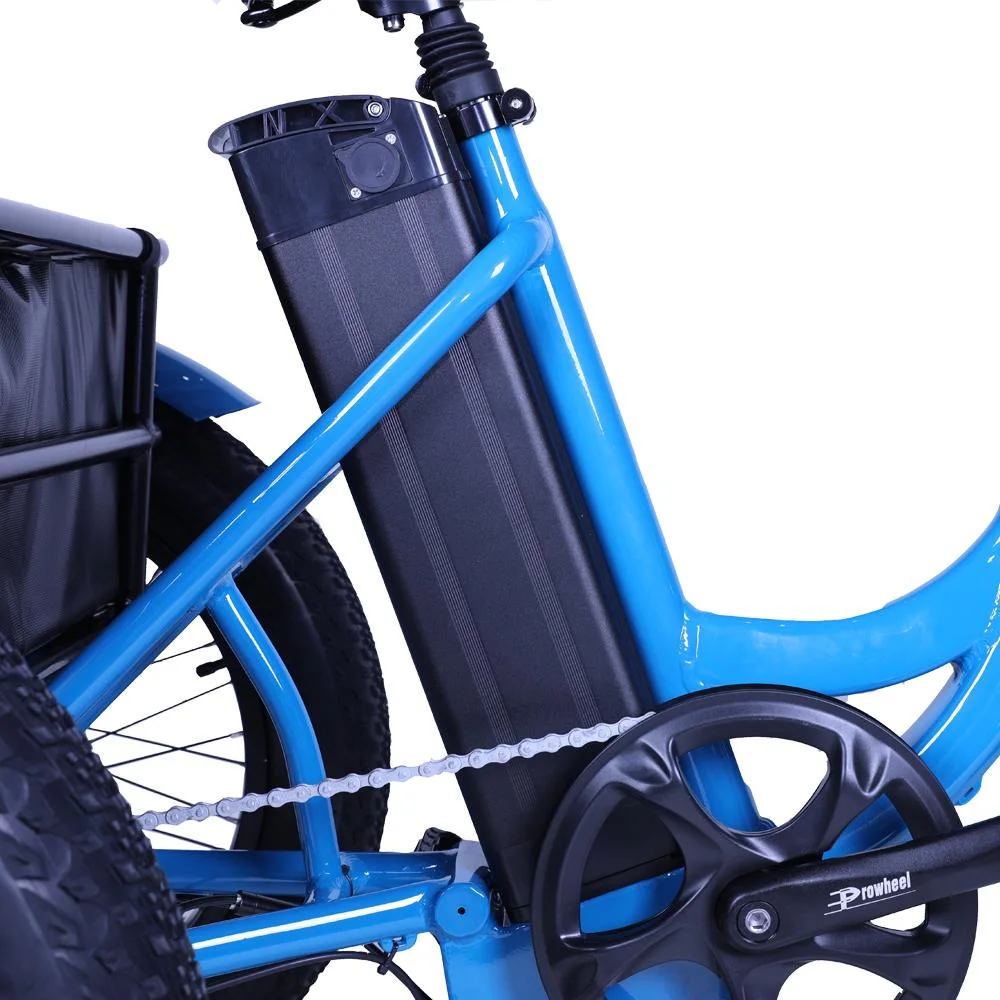 USA Canada Warehouse Three Wheel Ebike Mountain Electric Trike Cargo Ebike with Fat Tire