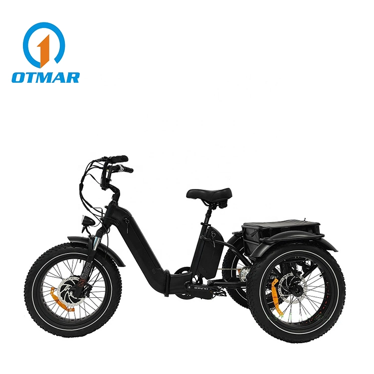 3 Wheel OEM Custom Good Electric Trike Fat Tire Adult Cargo Electric Tricycle with Basket Best Performance Hidden Lithium Battery E Trike