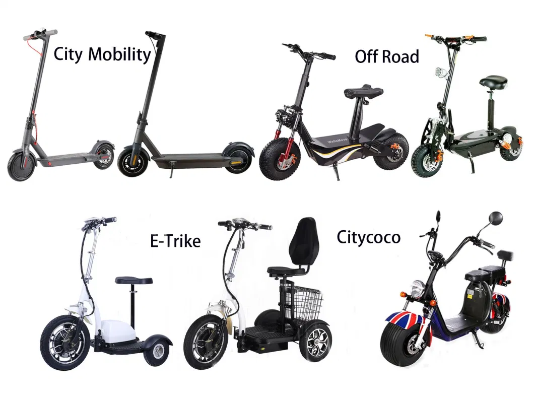 Three Wheels Big 16inch Tire Trike Adult Tricycle Electric Scooter 500W/350W Fat Electric City Bike