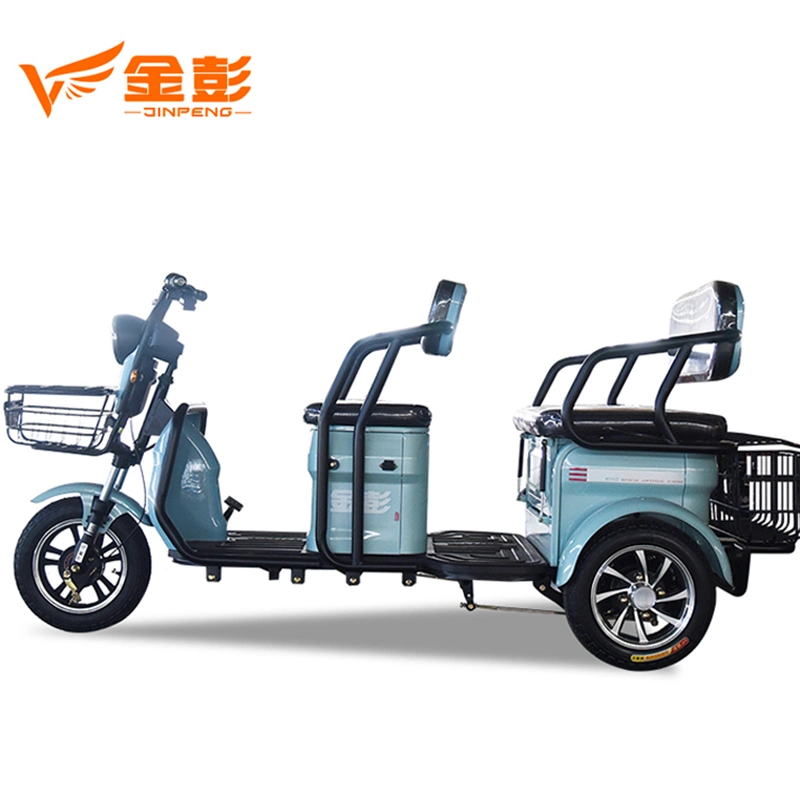 Hot Sale Electric Passenger Tricycle with EEC Certification Customized Services Leisure Trike for 3 Wheel Mobility Scooter Family Use Motor 800W