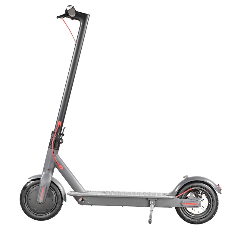 Best Mobility Electric Tricycle for All Ages