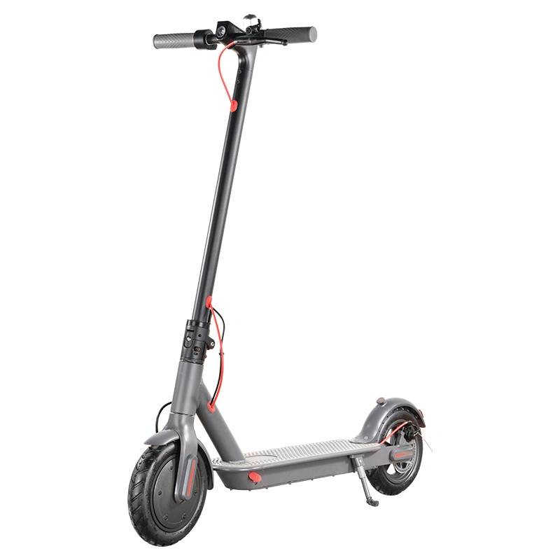 Best Mobility Electric Tricycle for All Ages