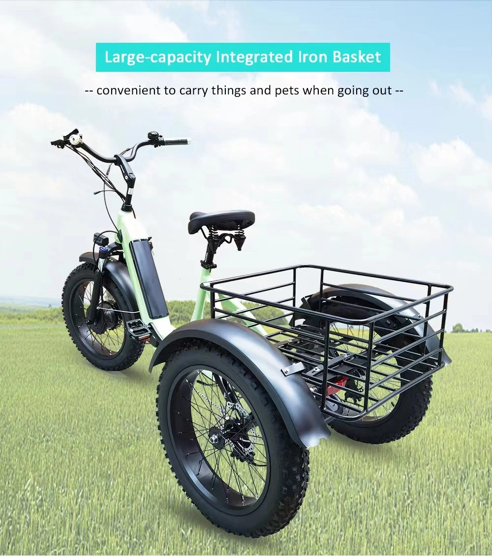 3 Wheel Cargo Ebike Foldable 48V 500W Fat Tire Folding E-Tricycle for Adults