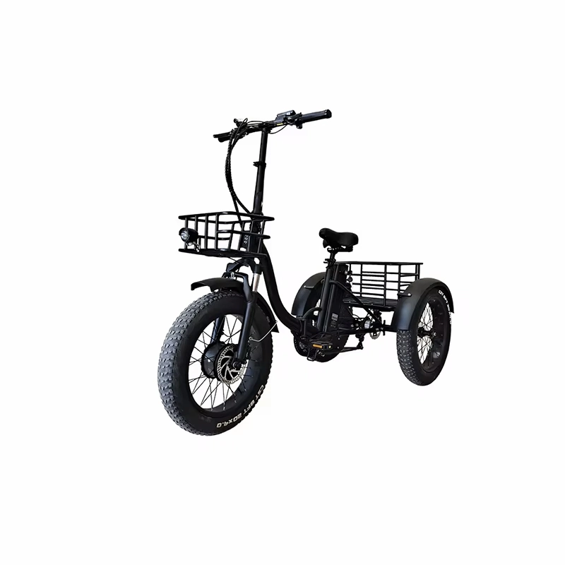 3 Wheel Electric Tricycle 20ah Battery Electric Motorcycle Three Wheel Electric Tricyle Scooter for Adult