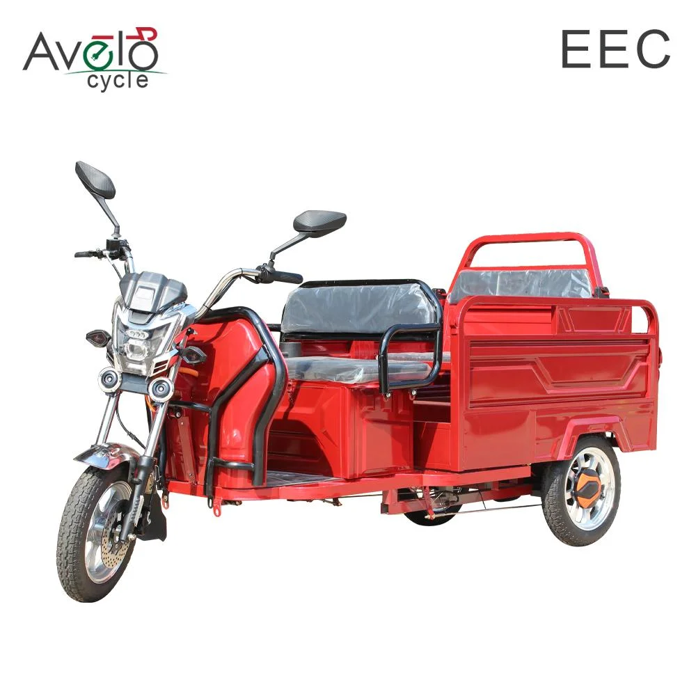 New Fat Tire Adult 3 Wheel Cargo 1200W 72V/32ah Lead-Acid Battery Electric Tricycle