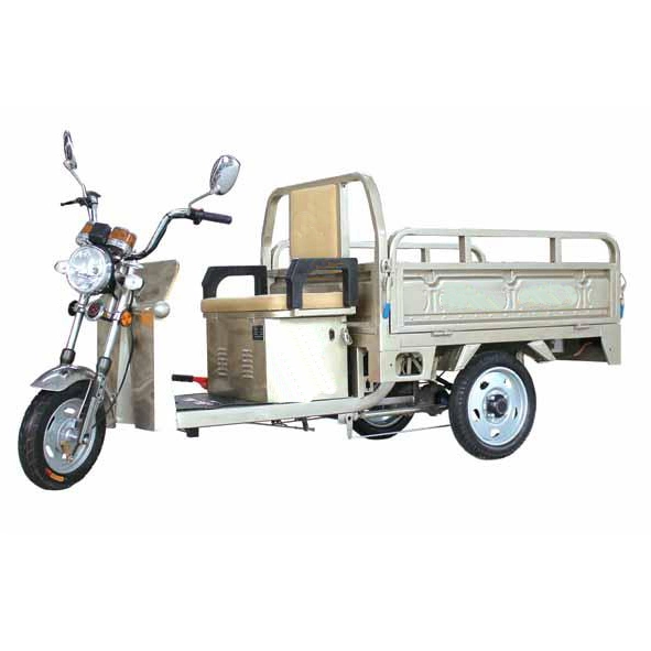 Wholesaler Adults 750W/500W 3 Wheel Car Cargo Electric Chinese Electric Tricycle Fat Tire Electric Tricycle